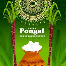 Pongal Festival 2025