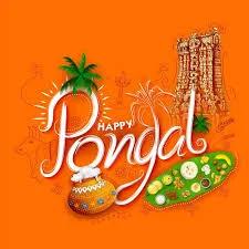 Pongal Festival 2025